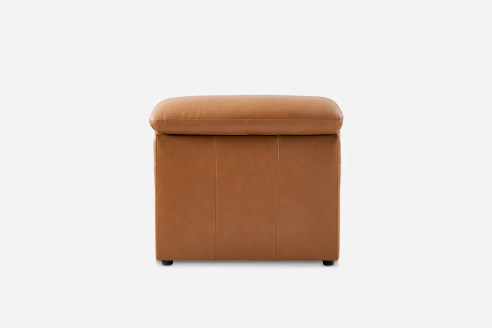 102-jaron-leather-armless-sofa–1.webp