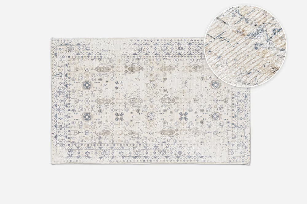 Erol Area Rug 